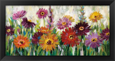 Framed Jewel Daisy Gerbera Print