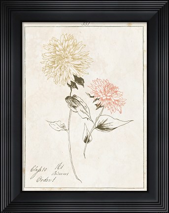 Framed Flowers on White IV with Words Print