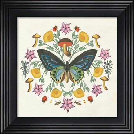 Framed Butterfly Mandala IV Print