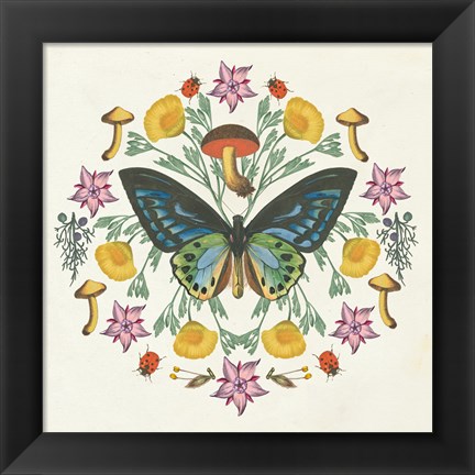 Framed Butterfly Mandala IV Print