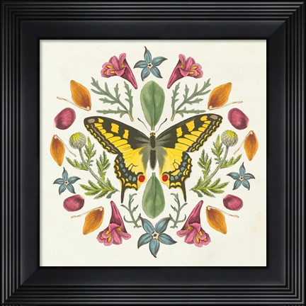 Framed Butterfly Mandala III Print