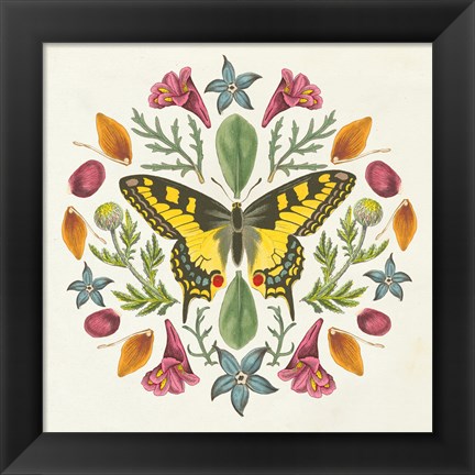 Framed Butterfly Mandala III Print