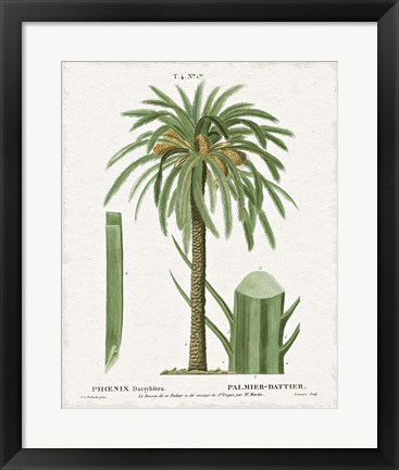 Framed Island Botanicals II Print