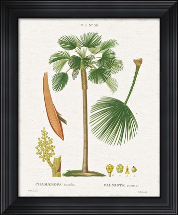 Framed Island Botanicals I Print