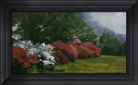 Framed Floral Fantasy Print
