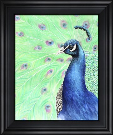 Framed Mr. Peacock Print