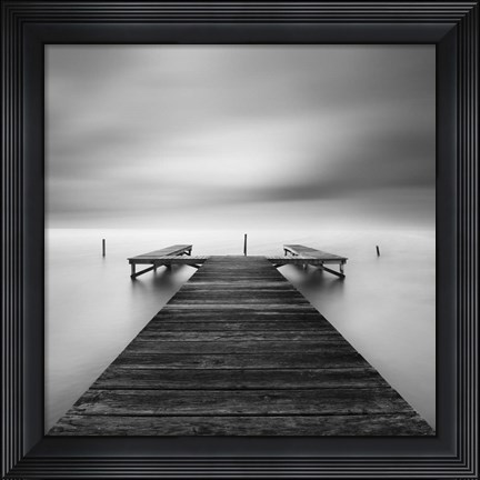 Framed Bipolar Print