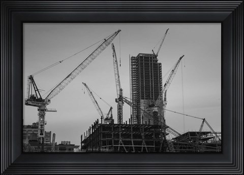 Framed New York Cranes Print