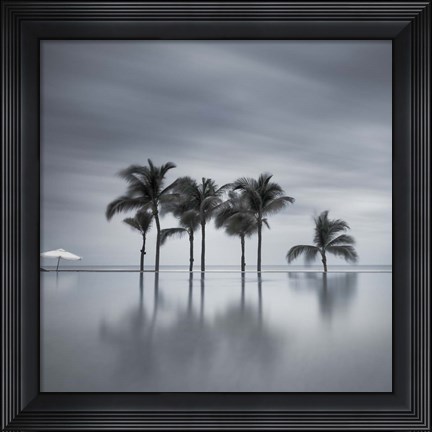 Framed 7 Palmeras Print