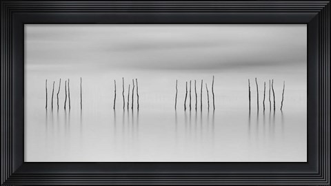Framed Sticks Print