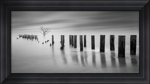 Framed Codigo Arbol F Print