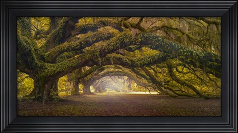 Framed Passage 1 Soft Color Print