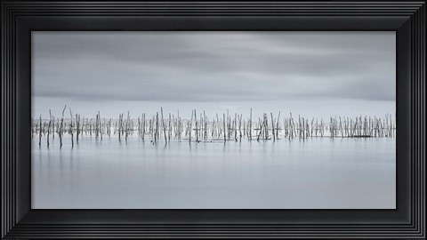 Framed Drawing Lines Print