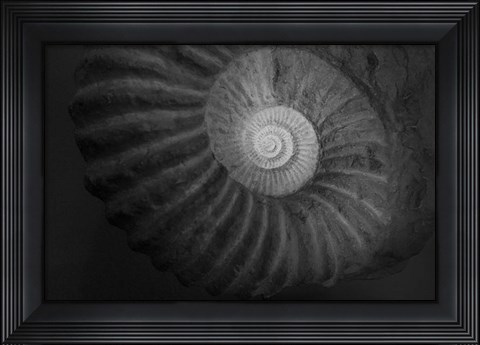 Framed Small infinity Print