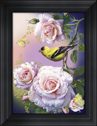 Framed Morning song Print