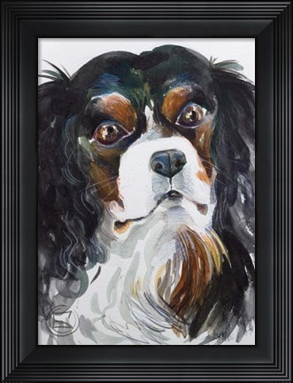 Framed Kavaler King Charles Print