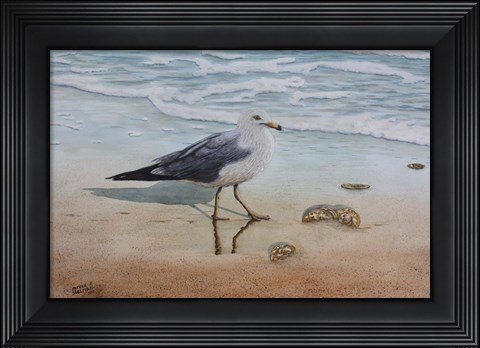 Framed 1 Seagull Print