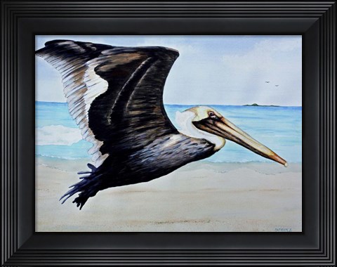 Framed Large Pelican Print