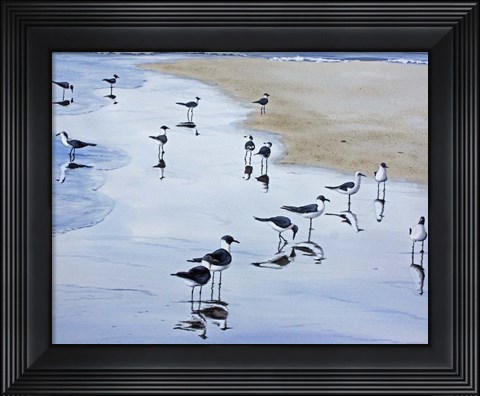 Framed Many Birds Print