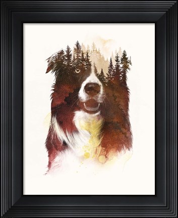 Framed One Night In The Forest Print