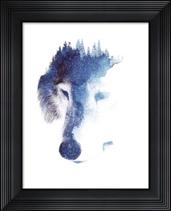 Framed Through Many Storms Print