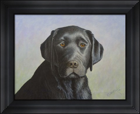 Framed Black Labrador Retriever Print