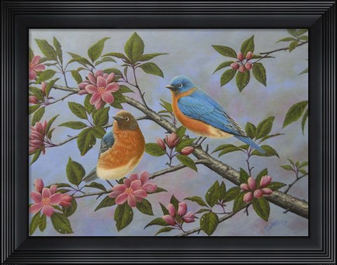 Framed Bluebirds Print