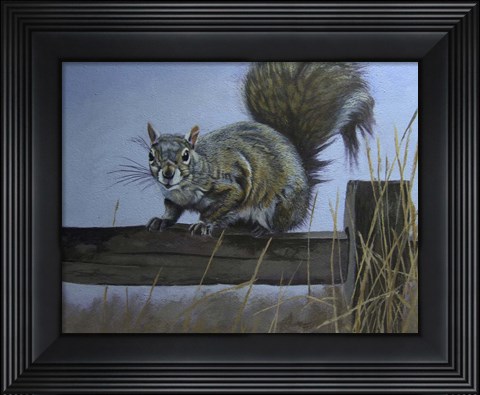 Framed Squirrel Print