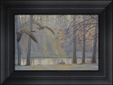 Framed Geese An Pond Print