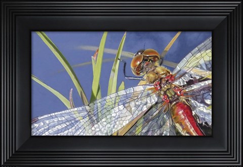 Framed Gem Wings Print