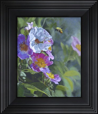 Framed Wild Roses Print