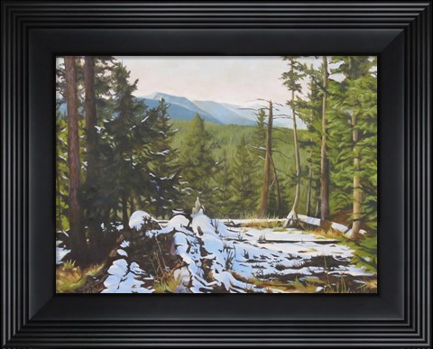 Framed Tetons Print