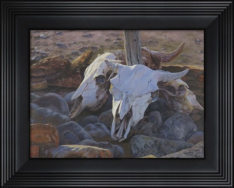 Framed Where The Buffalo Used To Roam Print