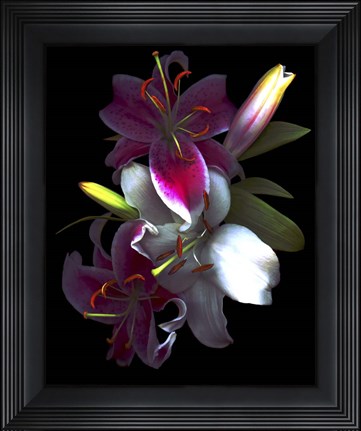 Framed Lilies Print