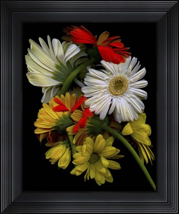 Framed Daisies Print