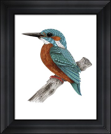 Framed Mr Kingfisher Print