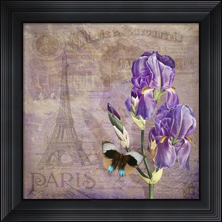 Framed Ville de Paris II Print