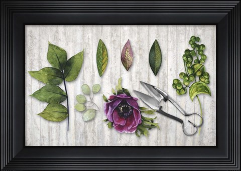 Framed Botanica Print