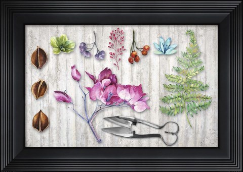 Framed Botanica II Print