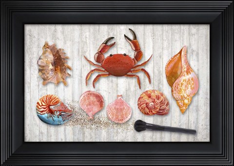 Framed Marine Biology Print