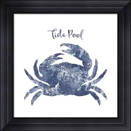 Framed Tide Pool Crab Print
