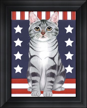 Framed Patriot Cat Print