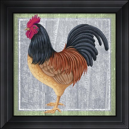 Framed Chicken 2 Print