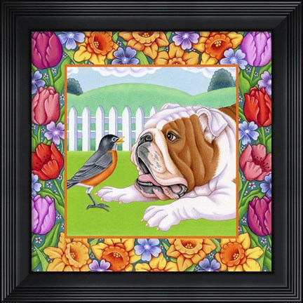 Framed Robin Bulldog Print