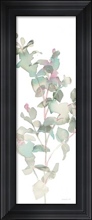 Framed Eucalyptus II White Crop Print