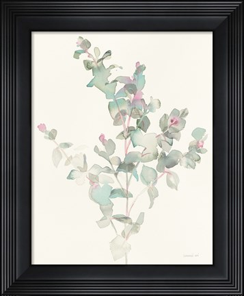 Framed Eucalyptus II Print