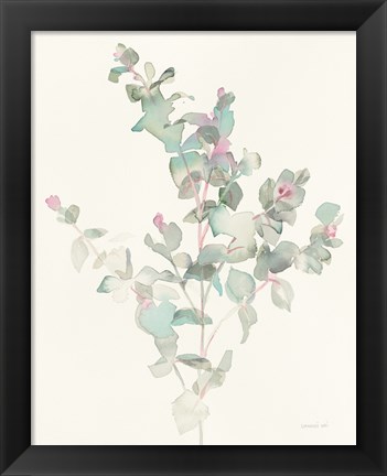 Framed Eucalyptus II Print