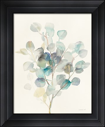 Framed Eucalyptus III Print