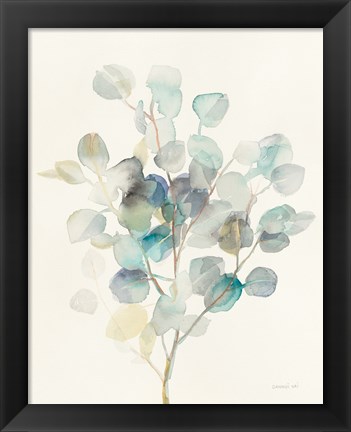 Framed Eucalyptus III Print