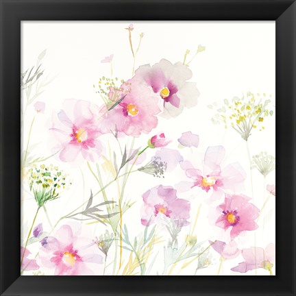 Framed Queen Annes Lace and Cosmos on White II Print